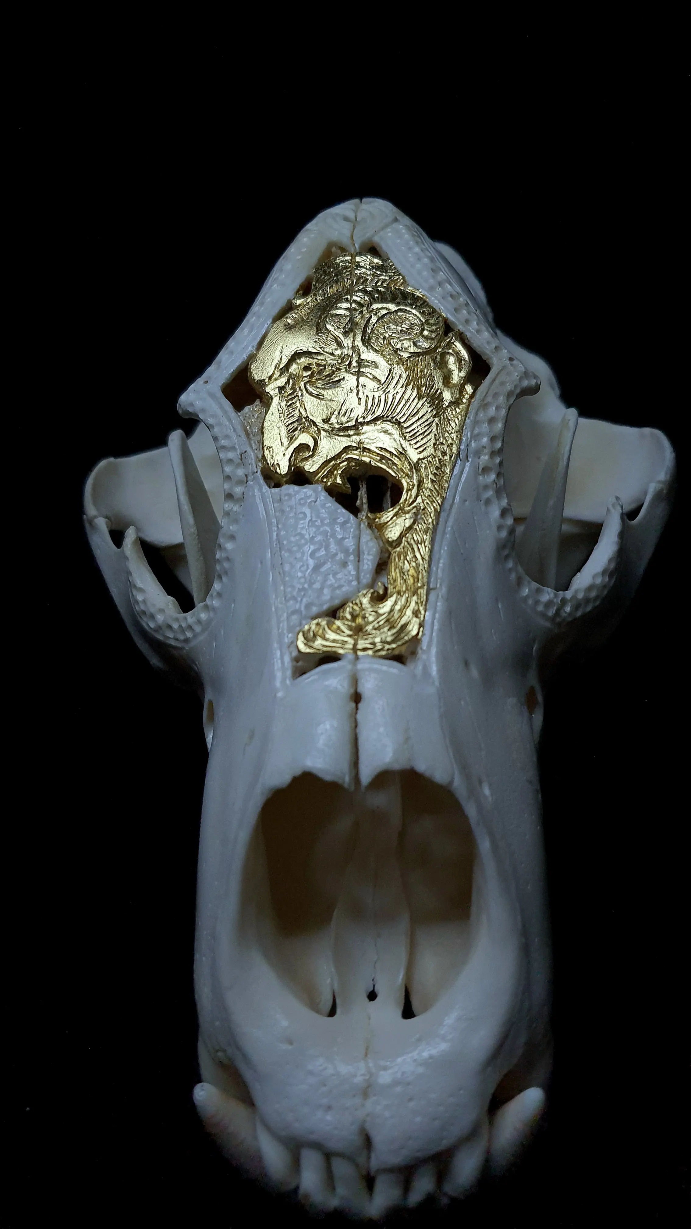 Trofeu de pradator sculptat manual